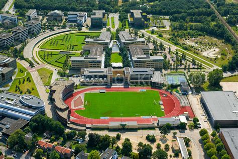 nike netherlands office.